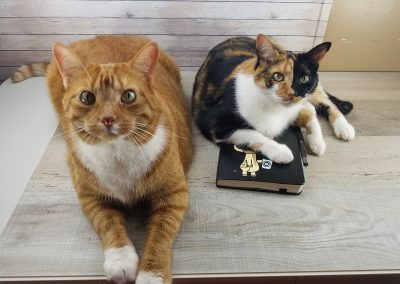 Jack and Pounce